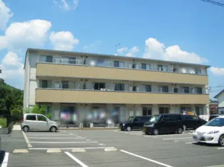 グラン ドミール古賀 B棟の画像