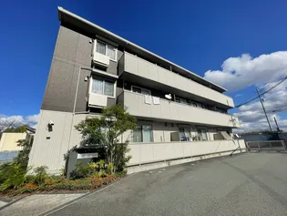イリゼの画像
