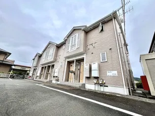ラベンダーの画像