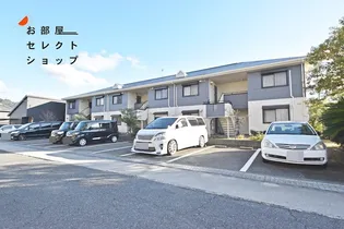 メゾンモチの木の画像