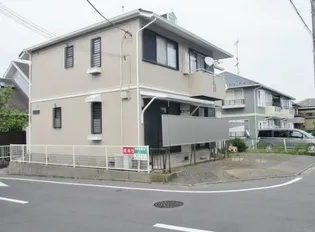 パラシオンの画像