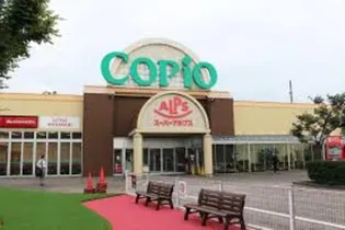 レオパレスAMAKUSA(13709)【1階】の周辺