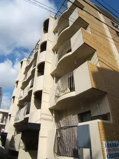 メゾンあいおい【4階】の外観