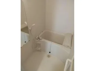 ボナールヴィラ【1階】の風呂