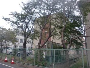 ルミエール A棟【1階】の周辺