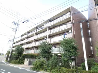 アルカンシエルの画像