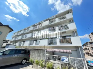 ザ ファースト又穂の画像