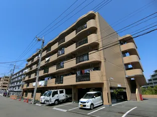 トゥワイスの画像