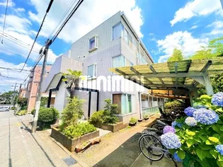 シルクハローの画像