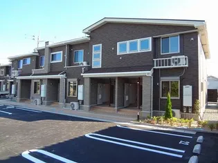 スプリング コートⅡの画像