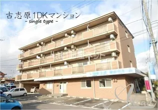 グランディールKの画像