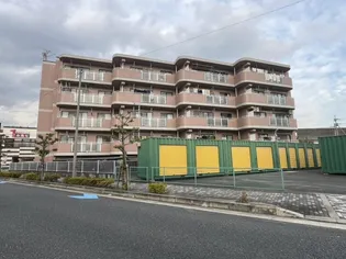 コスモドリームの画像