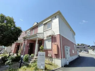 スターブルの画像