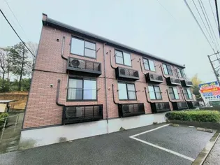 サンフラワーIIの画像