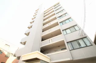 シャウエル錦の画像