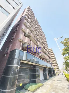 グリフィン横浜 ベイグランデ弐番館の画像