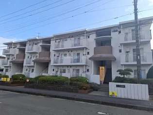 メープル湘南台の画像