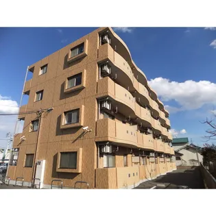 ポラリスの画像