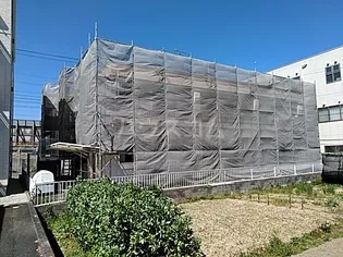 レクセル亀の甲の画像
