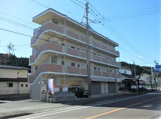 サンブライトの画像