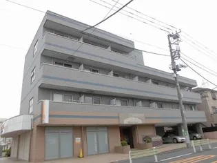 ステラコートの画像