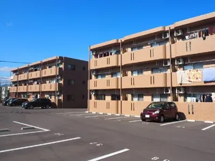 エクレールIIIの画像