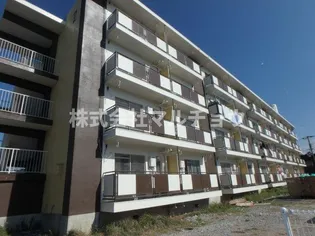 ヴィラナリー田辺 2【2階】の外観