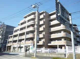 エムケイ ドリーム笹野台の画像