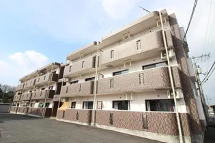 コスモス Aの画像