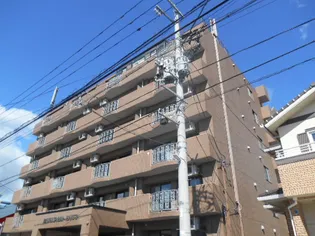 ミリリアントシルフの画像