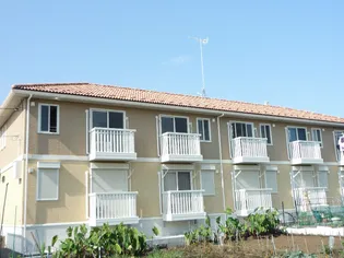 シャルマンの画像