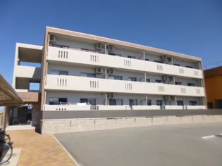 プランドールの画像