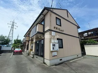 若葉サンデールの画像