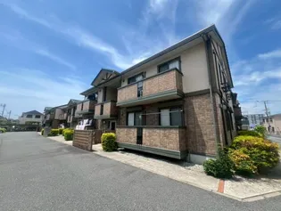 シロス船上の画像