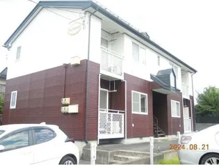 シュロスの画像