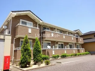 サンフィットの画像