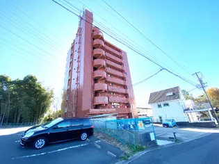 新日ビル豊明マンション【9階】の外観