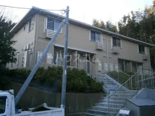 メルヴィーユの画像