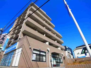 プレミールタニノの画像