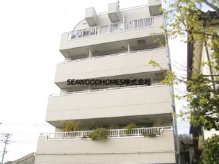 藤テラス【4階】の外観