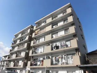 第5森崎ビルの画像