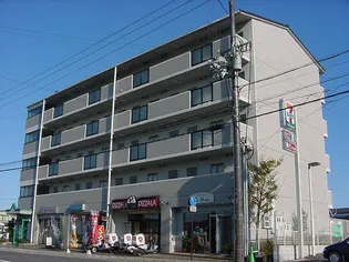 ルネス アンの画像