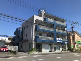 コスモアージュの画像