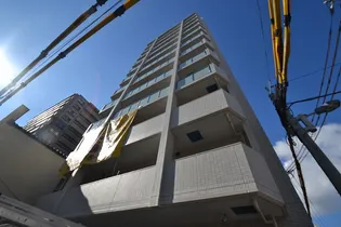 CASA BLANCA Mー6の画像