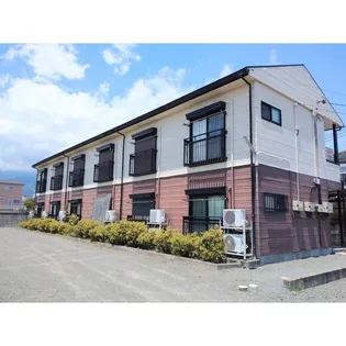 エヴァーグリーンの画像