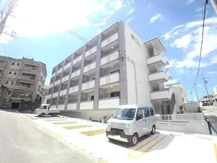 サウスひまわりの画像