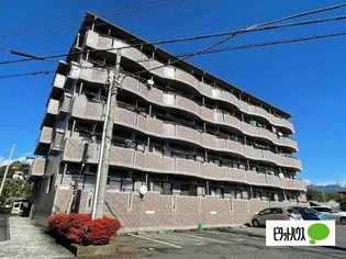 Kボヌールの画像