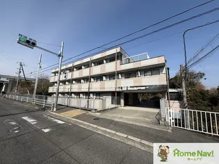 レイナ錦織【4階】の外観