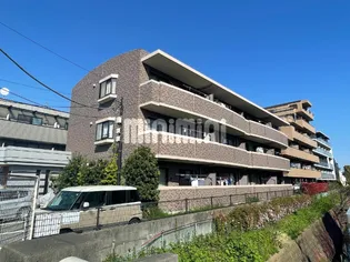 ベイ パレットの画像