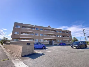 エア フォレストの画像